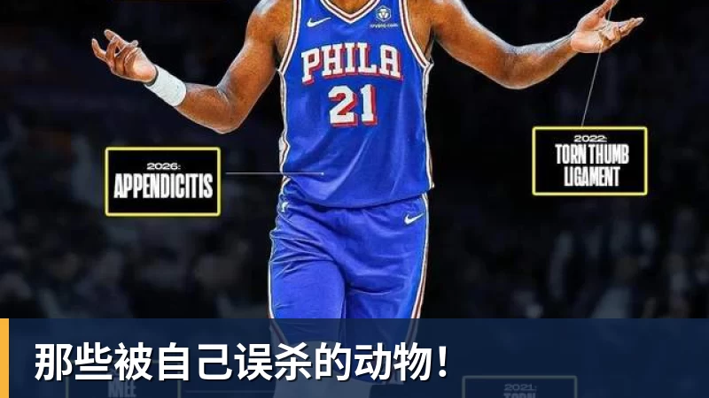 终于官宣!广东男篮三大引援,全部公布 - 华体会体育-华体会体育(中国)